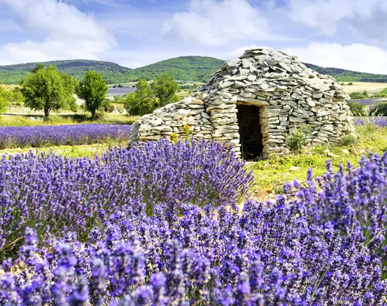 French heritage